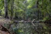 34 Evans Road, Black Mountain, Qld 4563-Image
