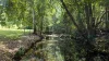 34 Evans Road, Black Mountain, Qld 4563-Image