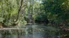 34 Evans Road, Black Mountain, Qld 4563-Image