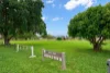 34 Frangipanni Street, White Rock, Qld 4868-Image