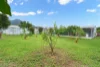 34 Frangipanni Street, White Rock, Qld 4868-Image