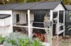 34 Gannet Circuit, North Lakes, Qld 4509-Image