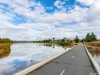 34 Gladys Lister Street, Franklin, ACT 2913-Image