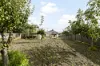 34 Grandview Road, Preston, Vic 3072-Image