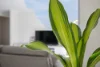 34 Hickman Drive, Piara Waters, WA 6112-Image