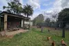 34 Hunter Terrace, Muswellbrook, NSW 2333-Image