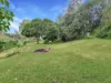 34 Islandview St, Barellan Point, Qld 4306-Image