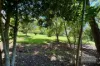 34 Kabi Crescent, Widgee, Qld 4570-Image