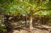 34 Lakeside Drive, Kianga, NSW 2546-Image