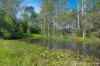 34 Lillis Road, Victory Heights, Qld 4570-Image