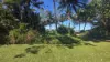 34 Luff Street, Hull Heads, Qld 4854-Image