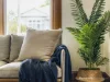 34 Malabar Street, East Launceston, Tas 7250-Image