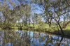 34 Malmsbury Metcalfe Road, Metcalfe, Vic 3448-Image