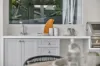 34 Malton Road, Beecroft, NSW 2119-Image