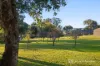 34 Mcgaffins Road, West Wodonga, Vic 3690-Image