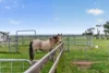 34 McKinlay Court, Goolwa North, SA 5214-Image