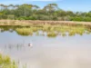 34 McKinlay Court, Goolwa North, SA 5214-Image