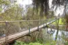34 Mclarty Road, Pinjarra, WA 6208-Image