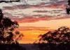 34 Mead Street, Belair, SA 5052-Image