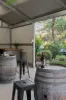 34 Mead Street, Belair, SA 5052-Image