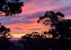 34 Mead Street, Belair, SA 5052-Image