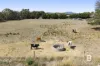 34 O'Farrell Court, Cambrian Hill, Vic 3352-Image