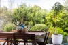 34 Porter Circuit, Milton, NSW 2538-Image