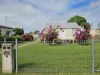 34 Queen Street, Ayr, Qld 4807