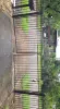34 Rattray Street, Nakara, NT 0810-Image