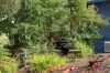 34 Reeves Lane, Dover, Tas 7117-Image