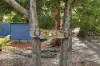 34 Reeves Lane, Dover, Tas 7117-Image