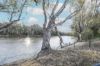 34 RIVERVIEW Drive, Barham NSW 2732-Image