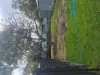 34  Robert Street, Croydon, SA 5008-Image