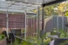 34 Songbird Circuit, Flagstone, Qld 4280-Image