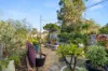 34 Stallard Place, Withers, WA 6230-Image