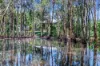 34 Straits Outlook, Craignish QLD 4655-Image