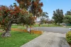 34 Swan Avenue, Klemzig, SA 5087-Image