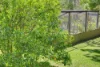 34 ULAMAMBRI PLACE, Coomba Bay, NSW 2428-Image