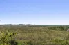 34 Unara Parkway, Cumbalum, NSW 2478-Image
