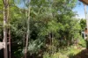 34 Vakuta Street, Fig Tree Pocket, Qld 4069-Image