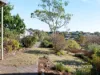 34 Waterworks Road, Dynnyrne, Tas 7005-Image