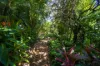 34 Wells Street, Ludmilla, NT 0820-Image