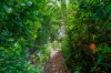 34 Wells Street, Ludmilla, NT 0820-Image