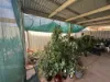 34 Wilaroo Street, Roxby Downs, SA 5725-Image