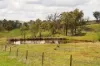 340 Great Western Highway, Marrangaroo, NSW 2790-Image