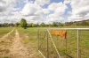 340 Great Western Highway, Marrangaroo, NSW 2790-Image