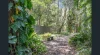 340 Oregan Creek Road, Toogoom, Qld 4655-Image