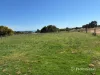 342 Eliza Shaw Drive, White Peak, WA 6532-Image