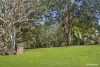 343 Hoffmans Road, Tungamull, Qld 4702-Image