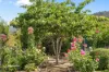 345 Woolleys Road, Lonnavale, Tas 7109-Image